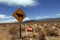 Roads in the national park El Leoncito in Argentina