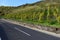 roads parallel in the vineyards of Mosel valley