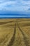 roads in the steppe, Baikal