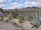 A roadside Antique Shop along Oldest Part of Route 66 in the Arizona Desert in the winter,