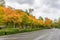 Roadside Autumn Trees 9