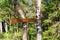 Roadside forest signpost - direction of travel to the pier on Anzersky Island