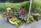 A roadside fruit stall at Lima in Peru.