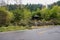 Roadside gazebo in woods after rain