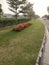 Roadside lawn with red salvia flower bed