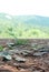 Roadside mountain rocks nature leaf landscape peace forest