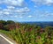 Roadside Mountain View of Kingsport Tennessee