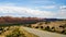 Roadside scenery in Utah near the Four Corners area.