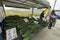 A roadside stall selling fresh organic Chinese cucumbers, Taichung of Taiwan.