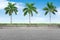 Roadside and three palm trees