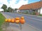 Roadside trade in pumpkins in the village