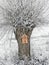 Roadside tree shrine