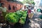 Roadside vegetable stalls selling fresh produce