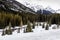 Roadside views of the mountains. Peter Lougheed Provincial Park, Alberta, Canada