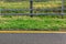 Roadside with yellow marking with green grass.