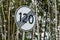 Roadsign End of speed limiting one hundred twenty km zone against forest