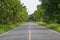 Roadway in forest at countryside