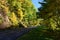 Roadway Meandering Through the Autumn Appalachian Mountains Along the Blue Ridge Parkway