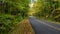 Roadway Meandering Through the Autumn Appalachian Mountains Along the Blue Ridge Parkway