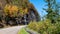 Roadway Meandering Through the Autumn Appalachian Mountains Along the Blue Ridge Parkway