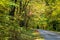 Roadway Meandering Through the Autumn Appalachian Mountains Along the Blue Ridge Parkway