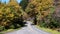 Roadway Meandering Through the Autumn Appalachian Mountains Along the Blue Ridge Parkway