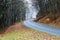 Roadway Meandering Through a Foggy Appalachian Morning Along the Blue Ridge Parkway