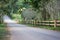 Roadway natural with tree at countryside