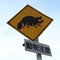 Roadway sign raccoon