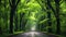 a roadway winding through lush green trees, the natural splendor and serenity of the tree-lined path, creating an