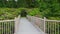 Roan Mountain State Park Gardens TN