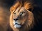 Roar of Majesty: Captivating Lion Pictures for Wildlife Enthusiasts