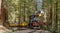 Roaring Camp` Dixiana Shay Steam Train Crossing Redwoods in Santa Cruz Mountains