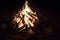 Roaring camp fire