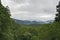 Roaring Fork Area, Great Smoky Mountains National Park, TN