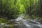 Roaring Fork Creek in the Great Smoky Mountains USA