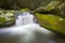 Roaring Fork Great Smoky Mountains National Park Waterfalls