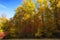 Roaring Fork Motor Trail in the Smoky Mountains