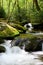 Roaring Fork Motor Trail Waters In the Smoky Mountains