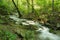 Roaring Run Creek, Jefferson Nation Forest, Virginia, USA