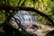 Roaring waterfall in rainforest in New Zealand