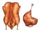 Roast duck and duck leg on a white background. Watercolor illustration