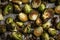 Roasted Brussel sprouts. Generate ai