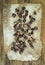 Roasted chestnuts on oily worn craft paper over rustic wooden background, top view.