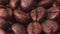 Roasted coffee beans, abstract background, close shot. Dolly shot of heap of brown coffee beans. Texture of coffee beans