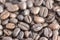 Roasted coffee beans background, coffee seeds, berries from the coffea plant