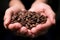 Roasted Coffee Beans close up view held by woman in cupped hands