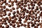 Roasted coffee beans flat lay top view on transparent background cutout, PNG file. Many assorted