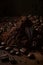 Roasted Coffee Beans - Passion and Aroma in Abundance