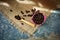 Roasted coffee beans in a pink zinc bucket on a sackcloth background.